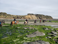 Argentina-Southern Patagonia-Mitre Peninsula Adventure